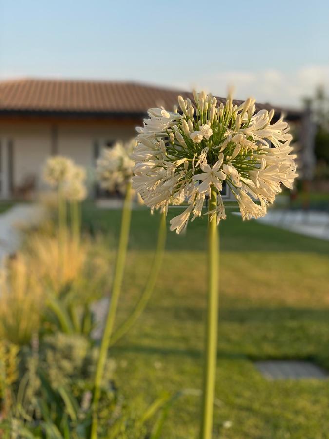 Agriturismo Pepe Rosa Rivoli Veronese Eksteriør bilde